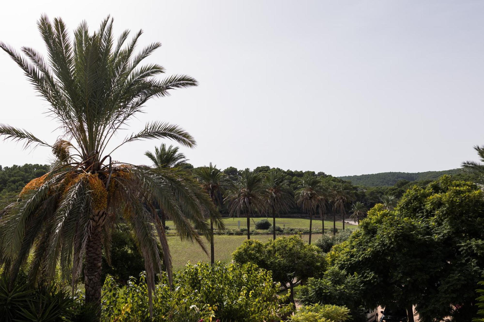 Llucatx Menorca Hotel Son Parc Ruang foto